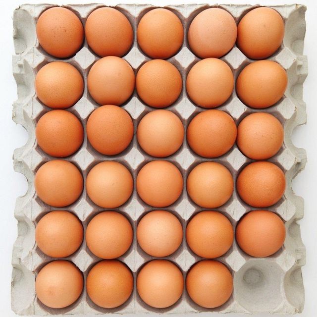 Carefully Sorted Fresh Table Eggs For International Wholesale Buyers With Secure Cartons And Reliable Farm Origin - Image 2