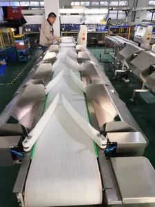 Automatic Weight Grader and Sorting Machine for Poultry and Seafood Processing - Image 5