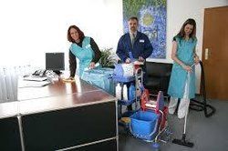 Professional Housekeeping Service - Image 1