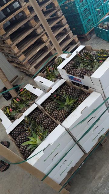 Pineapple – product photo 2, product detail gallery