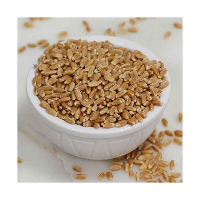 Bulk wheat grains arranged for discount price procurement and reliable supply - Image 2