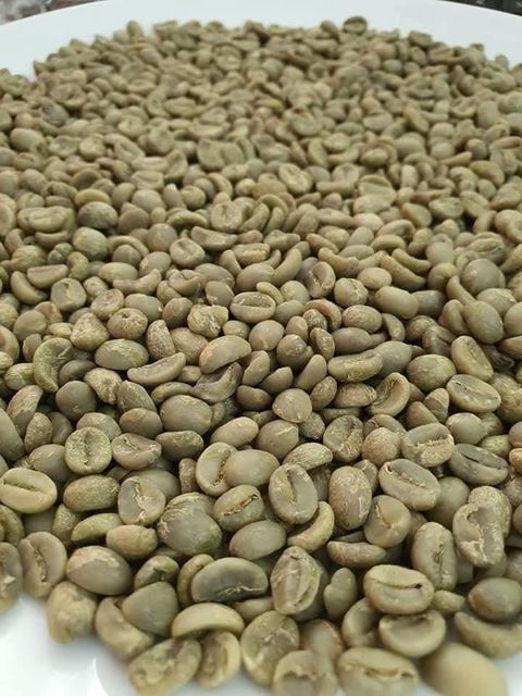 Coffee & Coffee Bean – product photo 1, product detail gallery