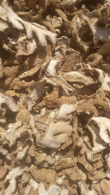 Premium Dried Ginger – Whole, Sliced & Powder | Organic & High-Quality Spice - Image 1