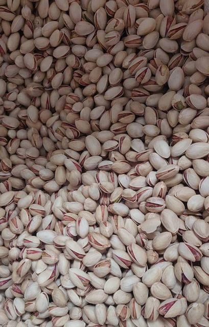 Dried Raw Pistachio Nuts with and Without Shell in Bulk Premium Quality Wholesale - Image 1