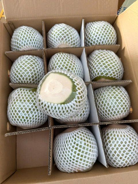 Diamond shape, young coconut Grade Class A Port Ho Chi Minh Type Xiem Variety Grown In Mekong Delta Packaging 9 pcs/carton - Image 5