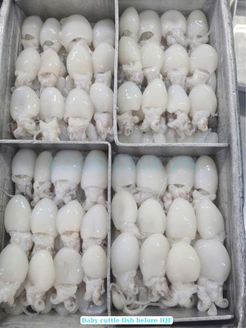 Frozen Whole Clean Baby Cuttlefish, Frozen Cuttlefish Fillet Roll, and Frozen Grilled Cuttlefish Fillet, ensuring reliable B2B seafood solutions - Image 3