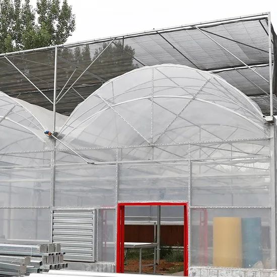 Commercial Plastic Film Greenhouse for Vegetable Span Multi Size Large Layer Single Trademark Sinok Thickness 0.15mm Location - Image 2