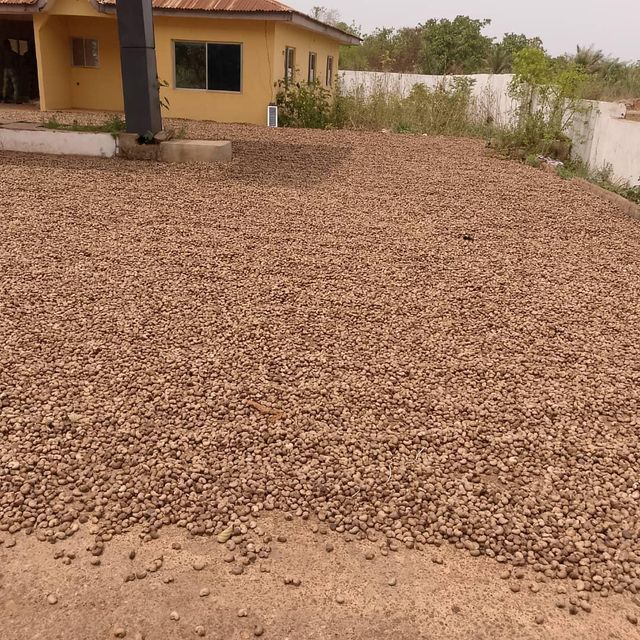 Cashew Nuts WW240 – product photo 3, product detail gallery