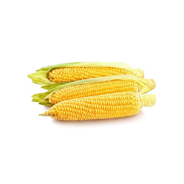 Yellow maize available in bulk for global food and feed industries - Image 2