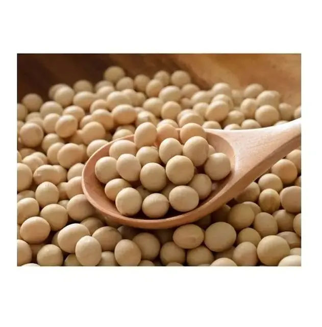 Fresh Harvest Soybeans – Premium Agricultural Crop Ready for Export and delivery worldwide - Image 3
