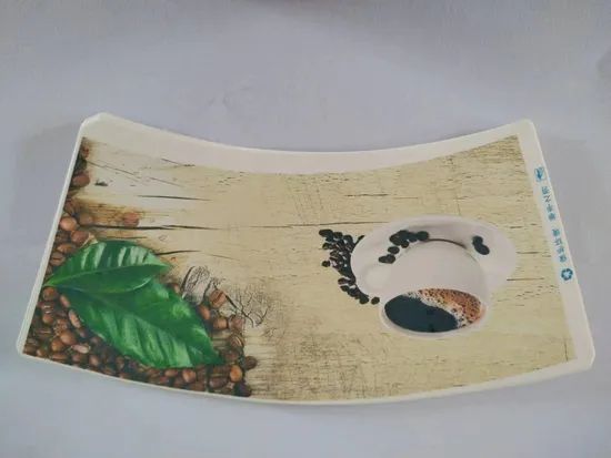 Paper Bowl Blank Sheet Digital Printing Machine - Image 5