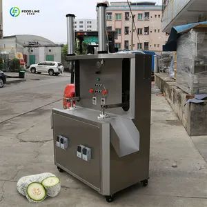 Large Capacity Efficient Continuous Efficient Quickly Fruit Peeling Machine - Image 4