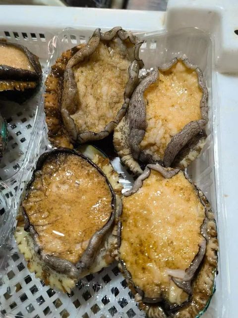 Frozen Abalone Frozen Seafood Wholesale Abalone with Shell Abalone - Image 2