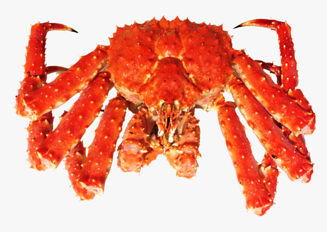 king crab Grade A Color RED Product Form Live Texture Soft Shell Instruction for use EAT Place Of Origin Romania Intended Use Fresh/frozen/seafood For Sale - Image 3