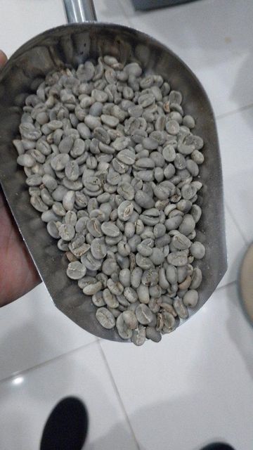 Green coffee bean - Image 4