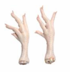 Best Quality Grade A Frozen Chicken Feet Cut feet Origin Brazil Meat Type Chicken Features GACC, SIF Texture Rich In Collagen - Image 1