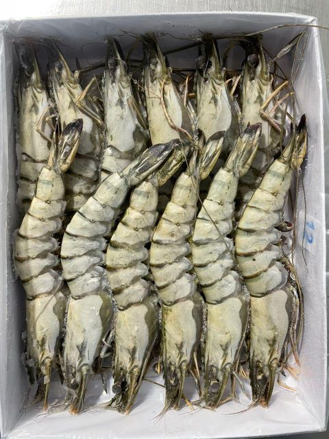 Frozen Black Tiger Shrimp HOSO - Image 4