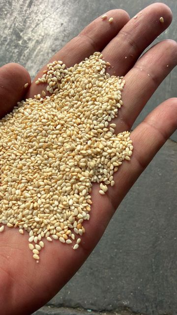 sesame seed premium quality – product photo 1, product detail gallery