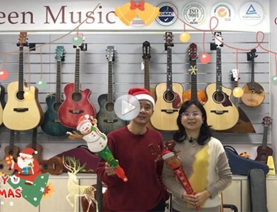 Musical Instrument Bag for Cello (BGC014) - Image 6