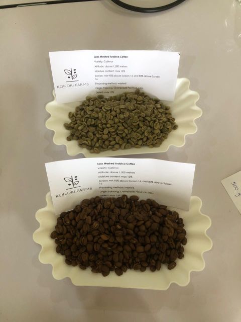 Laos Washed Arabica/ Natural Robusta Green Coffee - Image 1