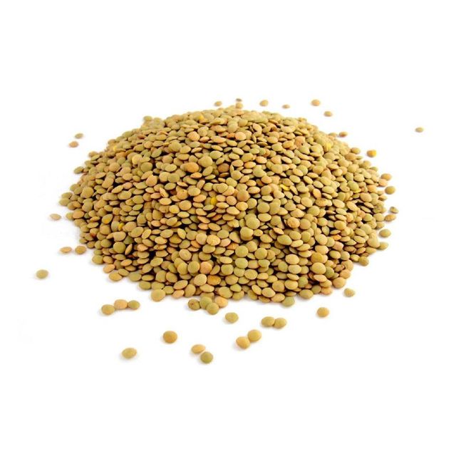Premium Quality Green Lentils Organic Dried Lentils Seeds - Image 3