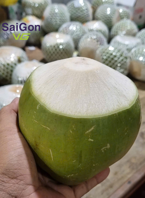 Vietnam Fresh Diamond Cut Coconut - Export Quality Young Coconut Supplier - Image 4
