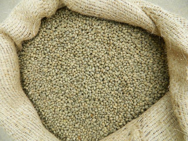 Premium Green Coffee Beans Wholesale | Bulk Arabica Coffee and Robusta Coffee Beans - Image 3