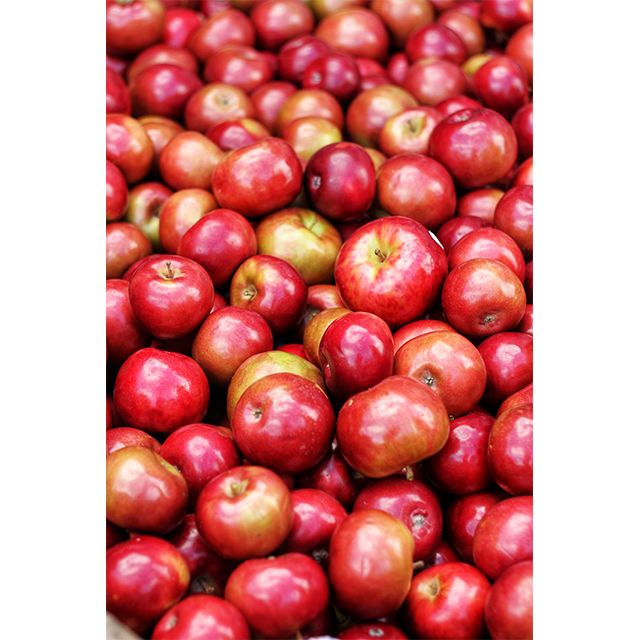 2022 Bulk Apples Whole Sale Fresh Red Fuji Apples Specification Wholesale Fresh Red Fuji Apple Fruit +27739729209 - Image 1