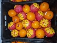 Valencia Oranges 🍊🍊 Form Egypt Grade 1 . 2 Texture Firm Appearance Bright Juice Content High Flavor Bright, Tangy Sweetness - Image 1