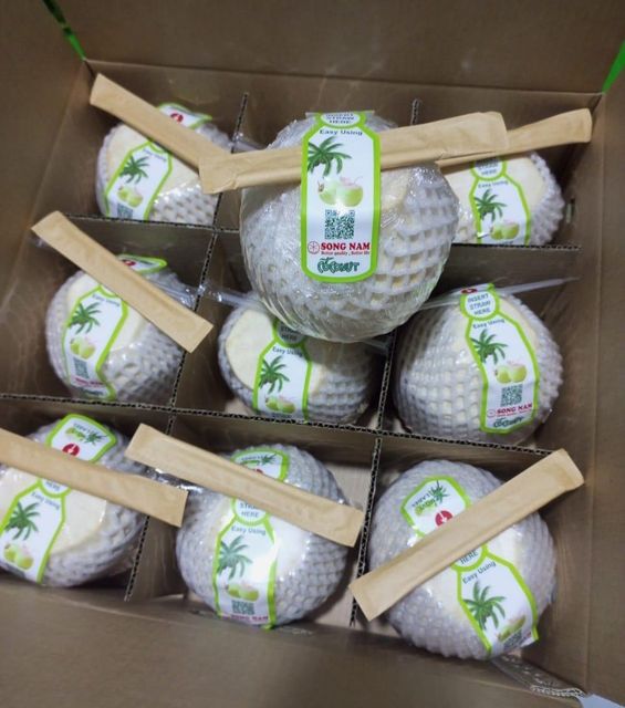 Song Nam Fresh Young Coconut in Vietnam Size 700-1200g Shelf Life 2 Months Season Whole Year Round Place of Origin Viet Nam - Image 2