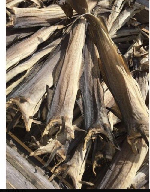 Norwegian stock fish-dried cod Icelandic stock fish heads - Image 3
