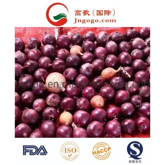 New Crop Export Good Quality Chinese Red Onion Color Red Shape Oval Type Whole Trademark GOGO Size 3.0cm and up HS Code - Image 3