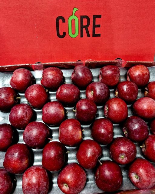 Fresh TopRed Apples export quality - Image 4