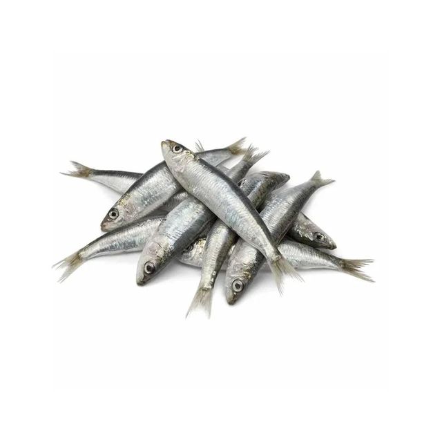 Frozen Sardine Fish Ocean Harvest Selection With Reliable Packaging And Fresh Flavor For Food Industry Supply - Image 3