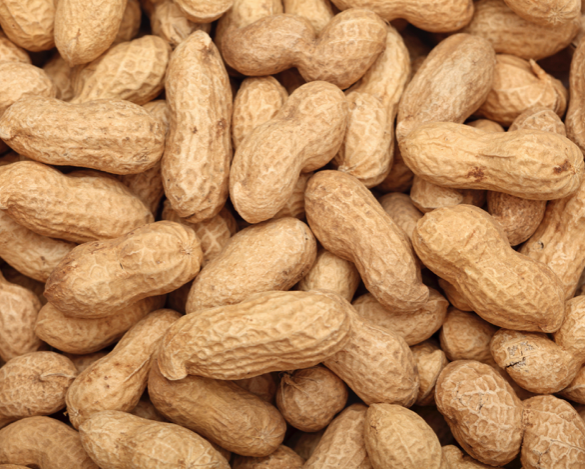 Organic Groundnut - Image 4