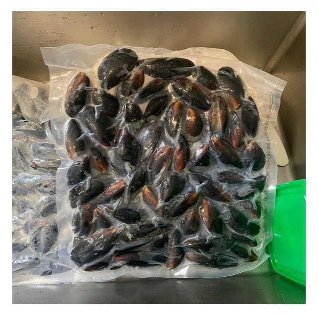 Top Quality Frozen Shellfish Mussels / Frozen Mussel Meat With Shell (Seafood) For Sale At Best Price - Image 1