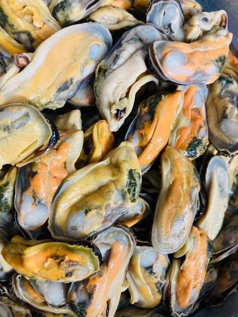 Frozen Mussel Meat Frozen Seafood Ingredient For Import Distribution Offering Naturally Tender Texture And Fresh Taste - Image 4