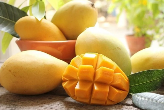 Premium Fresh Nam Dok Mai Mango Grade A from Vietnam Export Quality - Image 1
