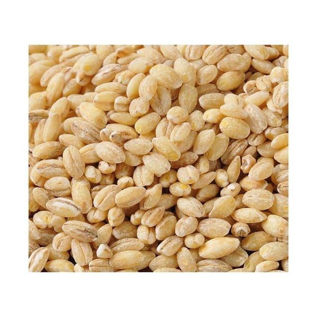Barley grain wholesale available in export ready bulk packaging - Image 3
