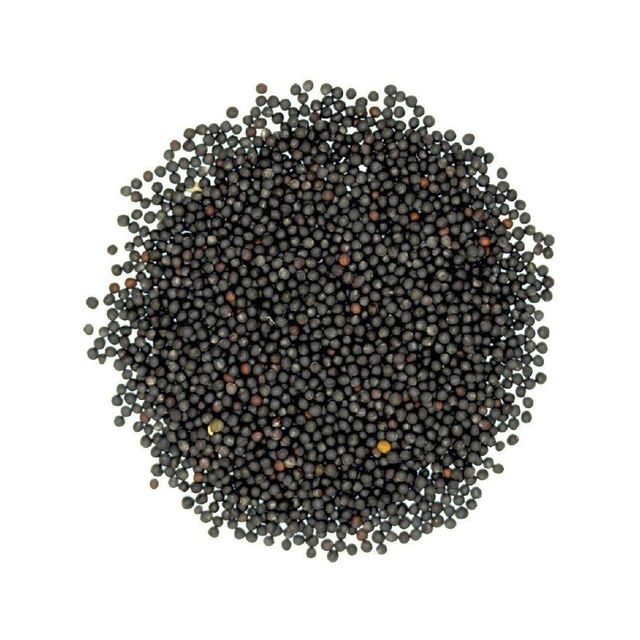Wholesale canola seeds available for food industry and export business - Image 4