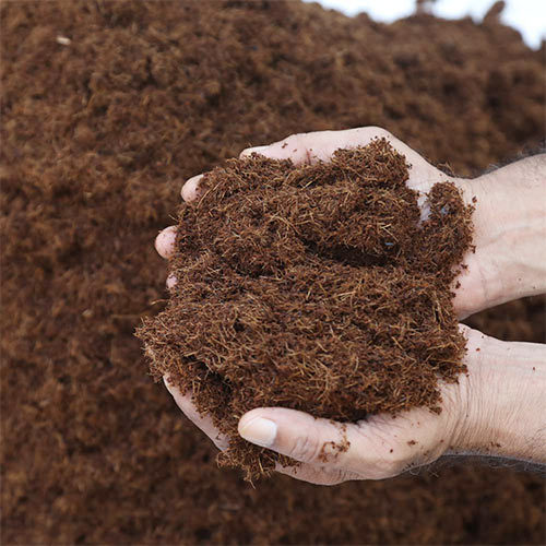 Best Sale! Coco Peat Block Eco-Friendly Natural Brown 5.5% PH - Image 1
