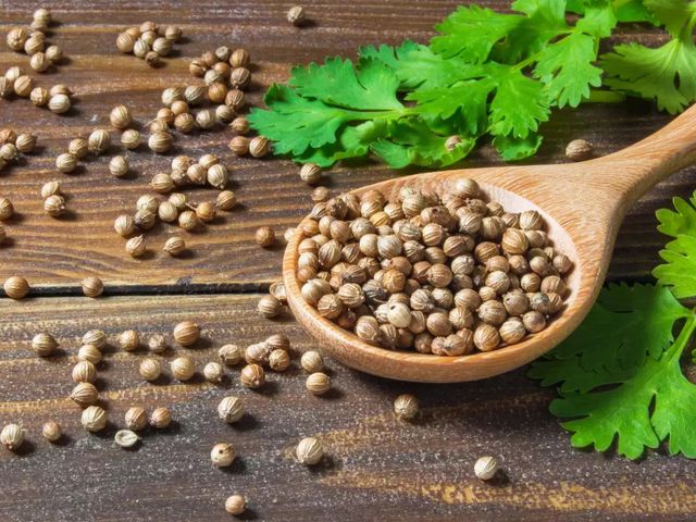 Coriander Form Ground Delivery Form Bag Freshness Level Dried, Fresh Features No Preservatives, Organic, Without Additives, Without Colourants, Without Flavor Enhancers - Image 2