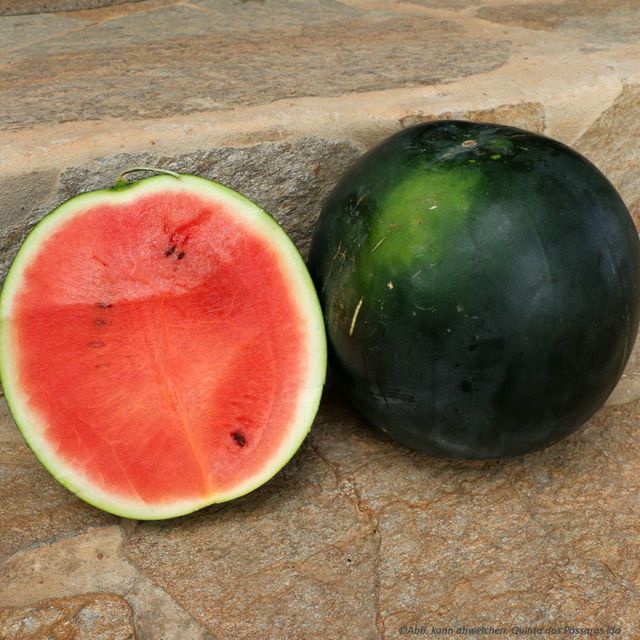 Premium Export Fresh Watermelon From Selected Farms With Hygienic Packing For Global Importers - Image 4