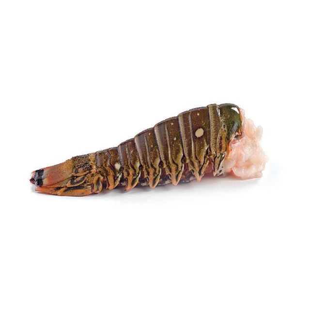 Fresh Bulk Frozen Whole Spiny Lobster Sustainably Harvested Ocean Seafood For Food Service Wholesale - Image 4
