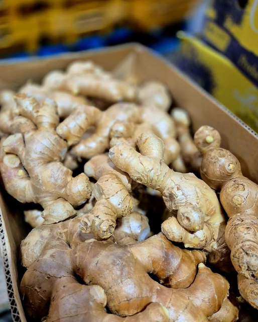 SUPERIOR QUALITY JUMBO GINGER BRAND LARGE SIZE FRESH GINGER WITH STRONG FIBER STRUCTURE 13Kg CARTONS READY FOR EXPORT - Image 4