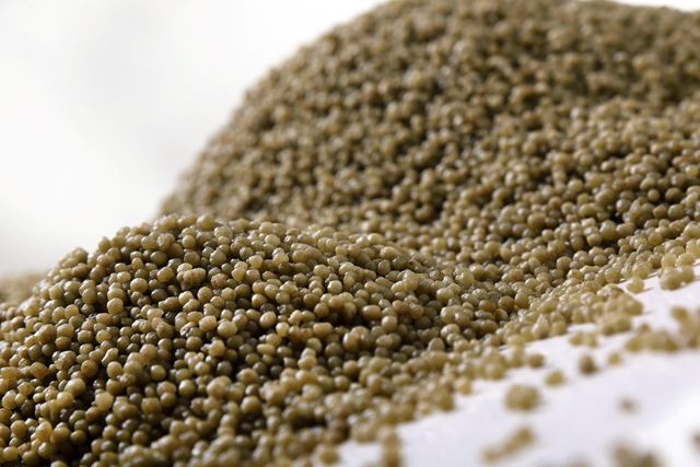 Agricultural Grade 100% Pure DAP Fertilizer 18-46-0 Diammonium Phosphate CAS 7783-28-0 Slow Release Powder Vegetables Wholesale - Image 3