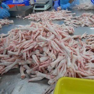 Wholesale Halal chicken feet(chicken paws) - Image 3