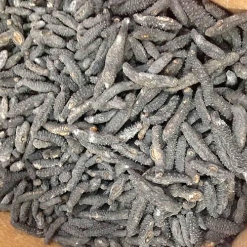 Natural Whole Dried Sea Cucumber Clean Processed Seafood Bulk Wholesale Low Cost - Image 4