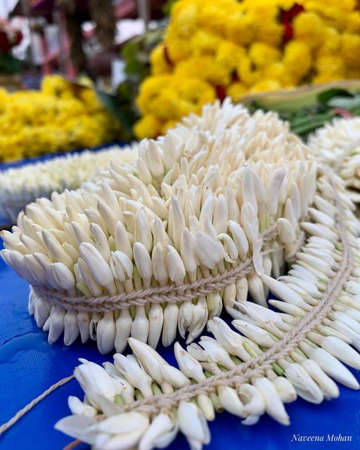 Udupi Mallige Jasmine (Jasminum sambac) – GI Tagged Premium Export-Grade Fresh Buds | APEDA Registered Exporter | Cold-Chain Maintained for Global Markets - Image 3
