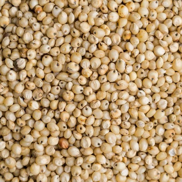 Premium Organic Sorghum Grain With High Protein 100% And Bulk Packaging For Industrial Buyers - Image 4